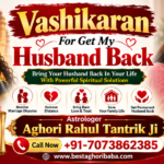 Vashikaran for get my husband back